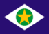 Bandeira do estado